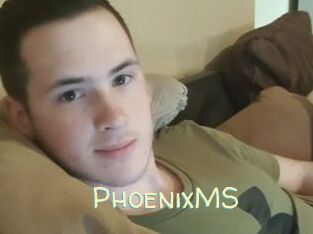 PhoenixMS