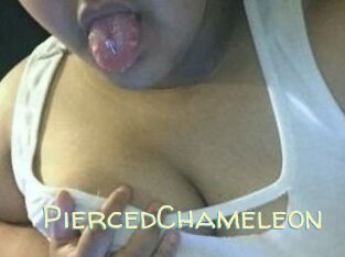 PiercedChameleon