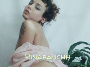 Pinabauchh