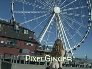 PixelGinger