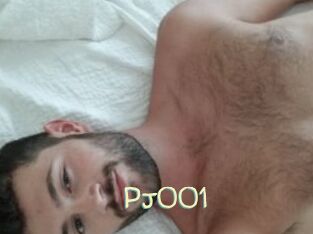 Pj001