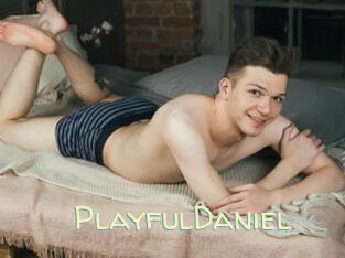 PlayfulDaniel