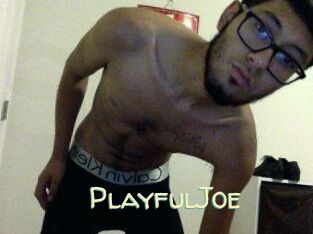 PlayfulJoe