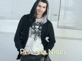 PlayfulNigel
