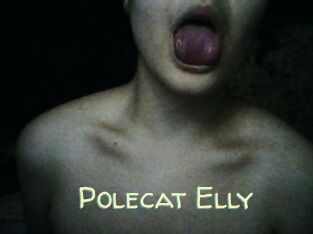 Polecat_Elly