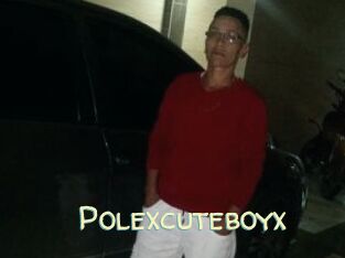 Polexcuteboyx