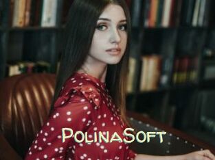 PolinaSoft