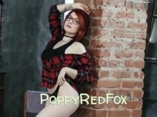 PoppyRedFox
