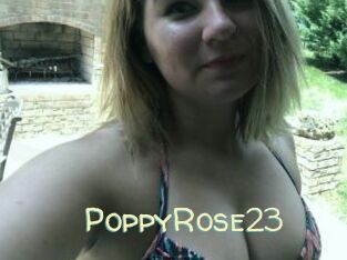 PoppyRose23