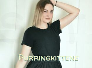 Purringkittene