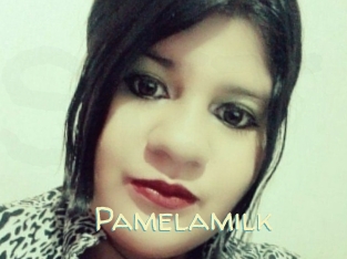 Pamelasuite