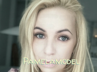 Pamelamodel