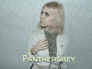 Panthergrey