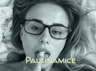 Paulinamice