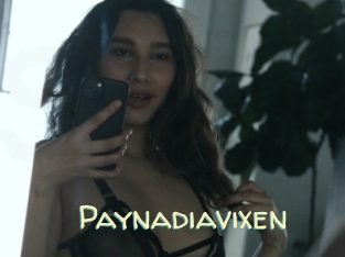 Paynadiavixen