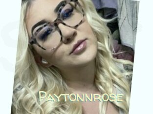 Paytonnrose