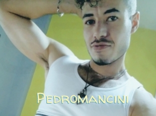 Pedromancini