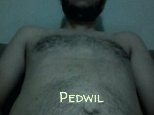 Pedwil