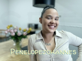 Penelopejohannes