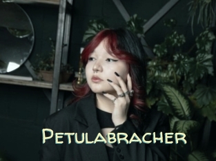 Petulabracher
