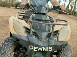 Pewnis