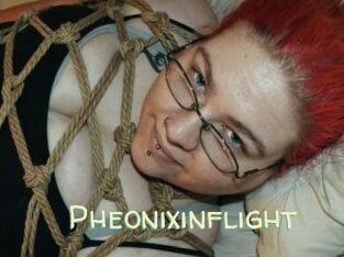 Pheonixinflight