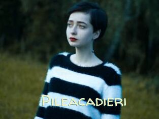 Pileacadieri