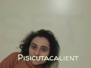 Pisicutacalient