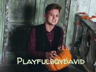 Playfulboydavid