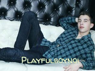 Playfulboynoi