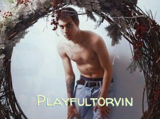 Playfultorvin