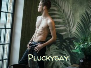 Pluckygay