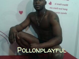 Pollonplayful