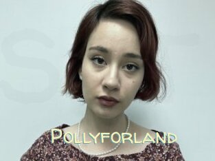 Pollyforland