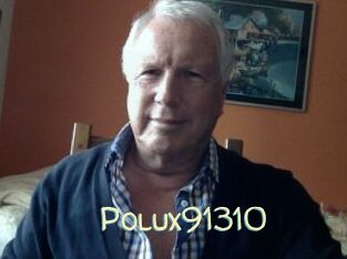 Polux91310