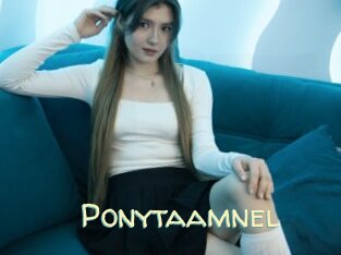 Ponytaamnel