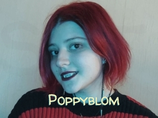 Poppyblom