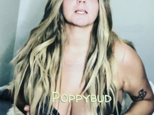 Poppybud