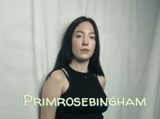 Primrosebingham