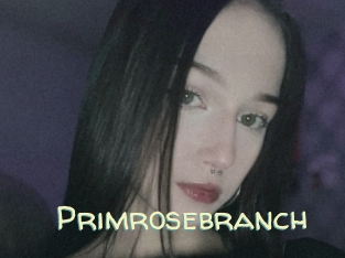 Primrosebranch