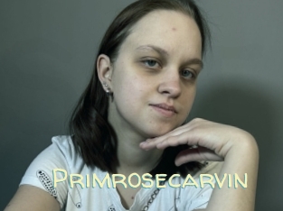 Primrosecarvin
