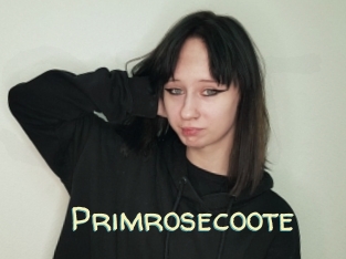 Primrosecoote