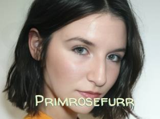 Primrosefurr
