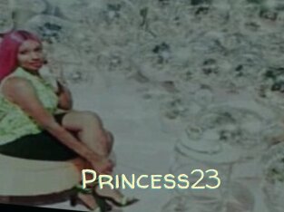 Princess23