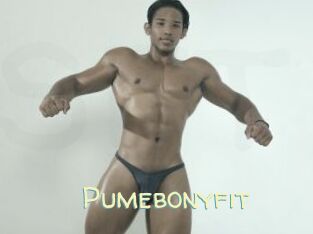 Pumebonyfit