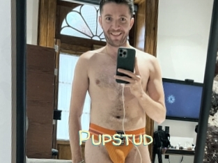Pupstud