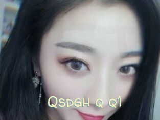 Qsdgh_q_q1
