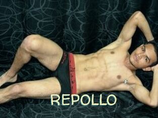 REPOLLO