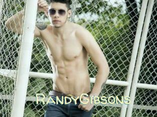 RandyGibsons