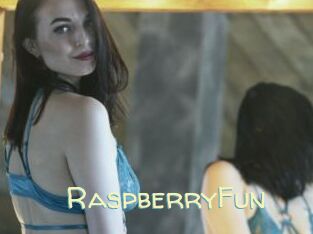 RaspberryFun